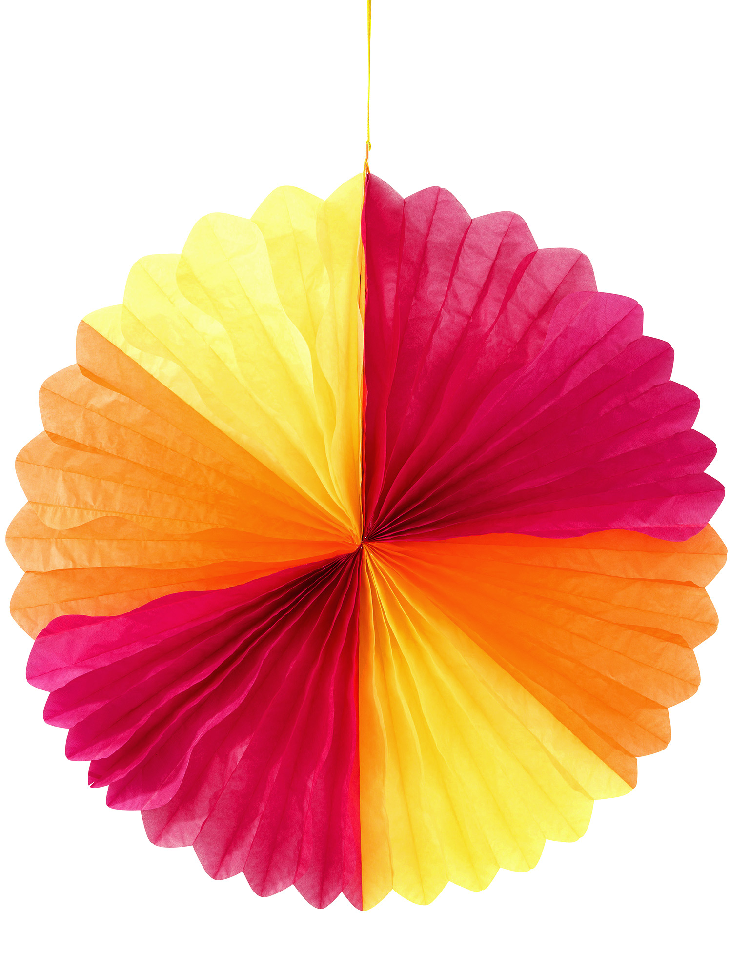 photo coloree photo coloree
